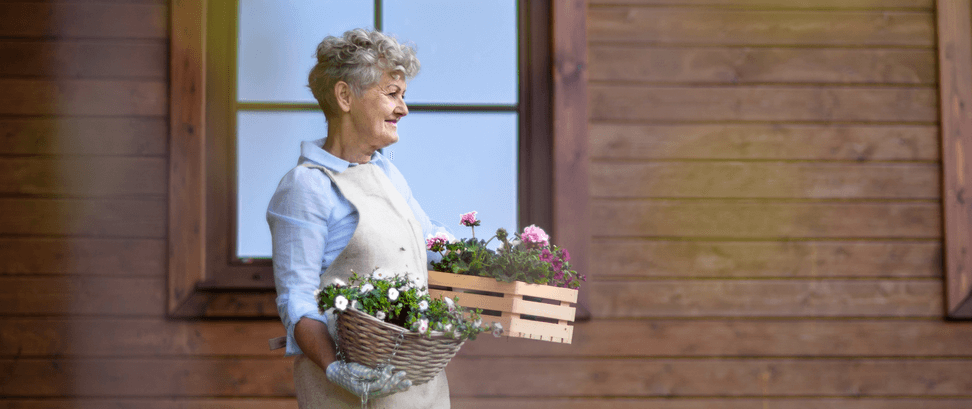 Blumenkästen